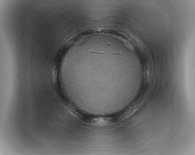 X0000112200558200908281441