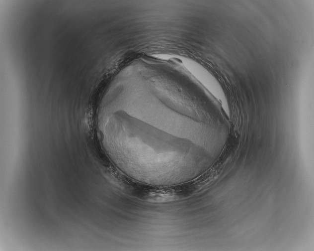 X0000112200559200908281441