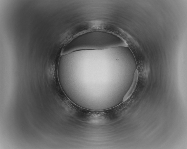 X0000112200560200908281441