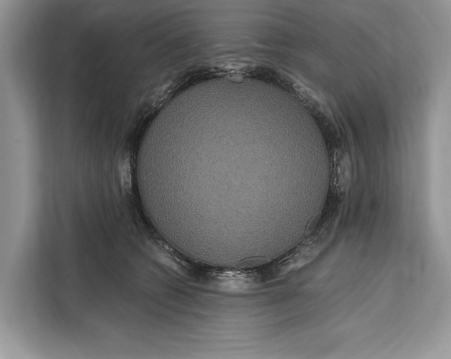 X0000112200562200908281441