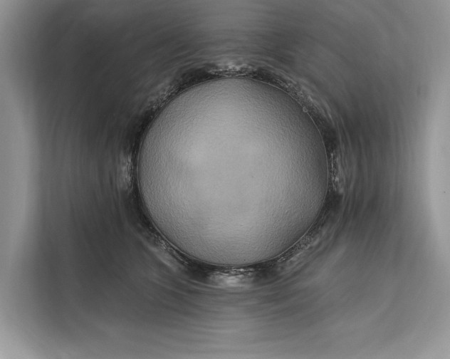 X0000112200563200908281441