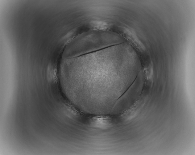 X0000112200564200908281441