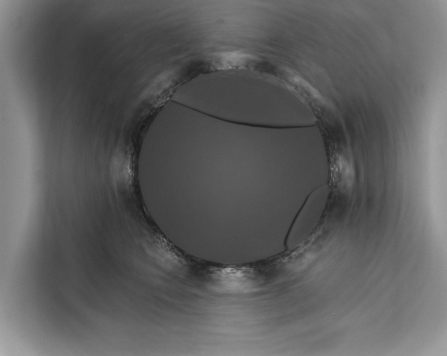 X0000112200566200908281442