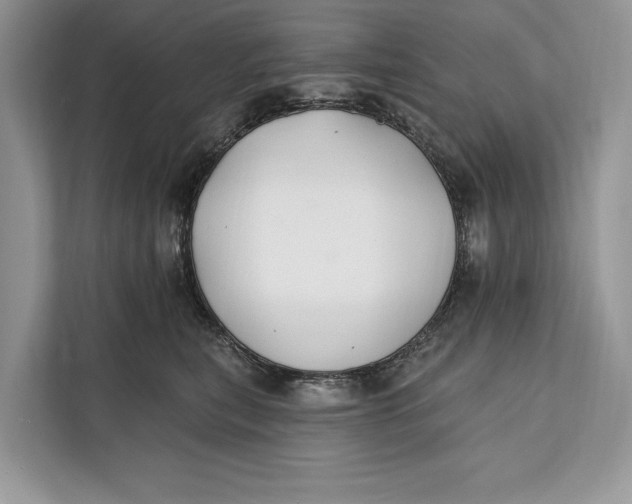 X0000112200567200908281442