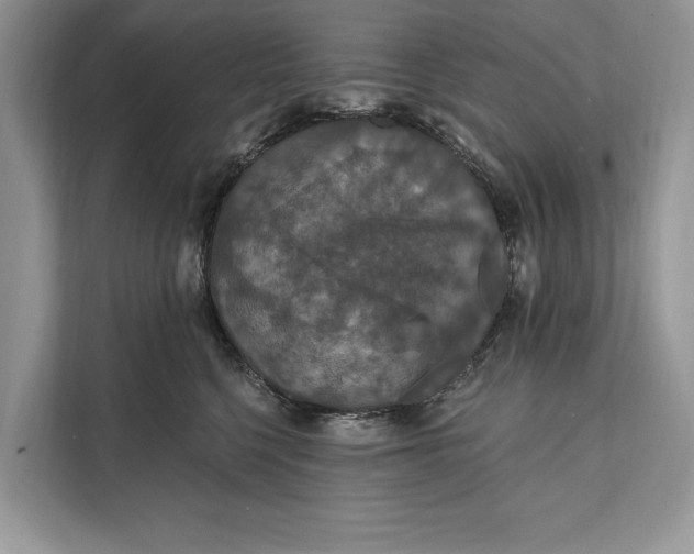 X0000112200568200908281442