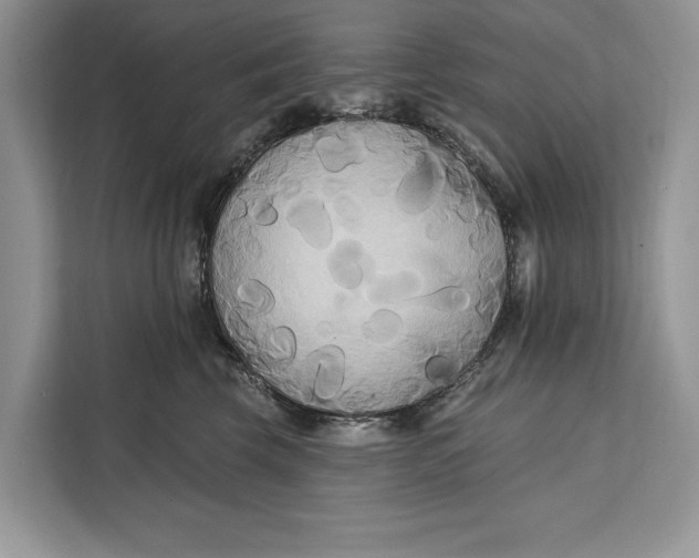 X0000112200569200908281442