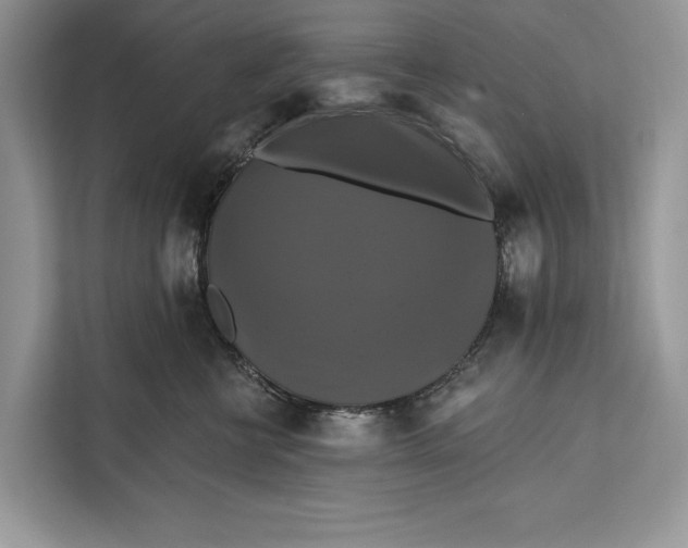 X0000112200570200908281442