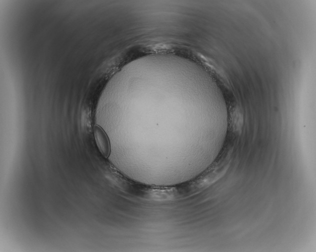 X0000112200571200908281442