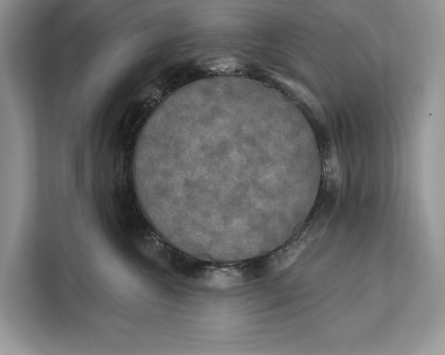 X0000112200572200908281442