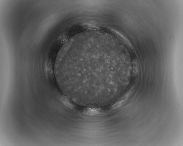 X0000112200573200908281442