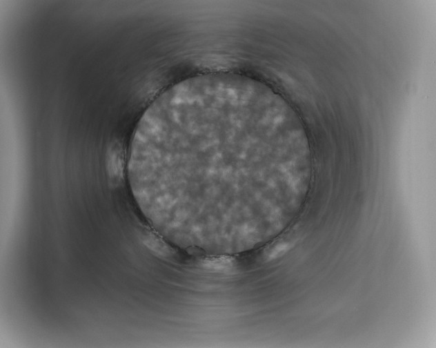 X0000112200576200908281442