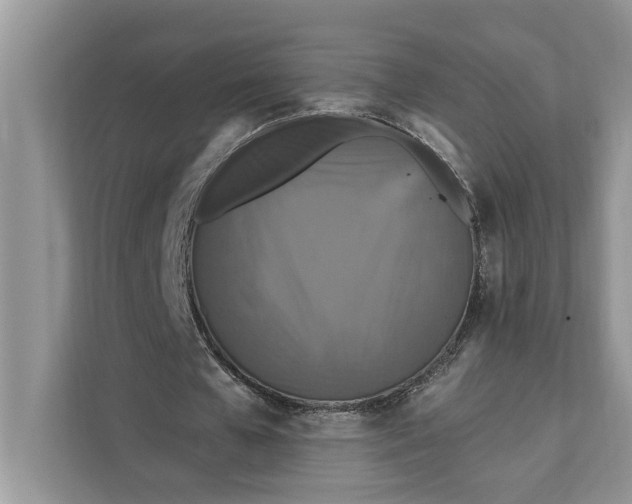 X0000112200577200908281441