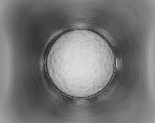 X0000112200579200908281441