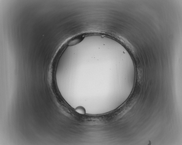 X0000112200580200908281441