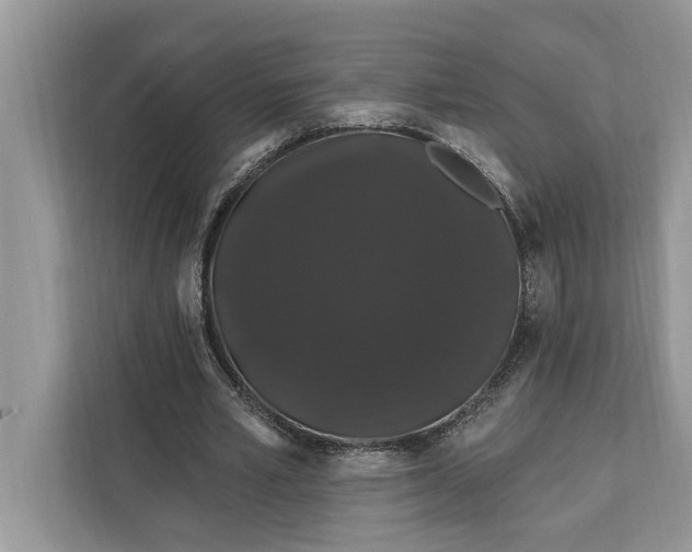 X0000112200581200908281441