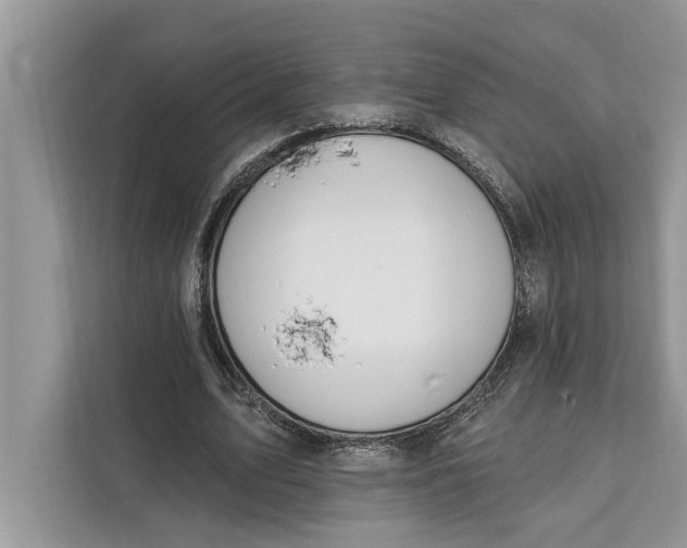 X0000112200583200908281441