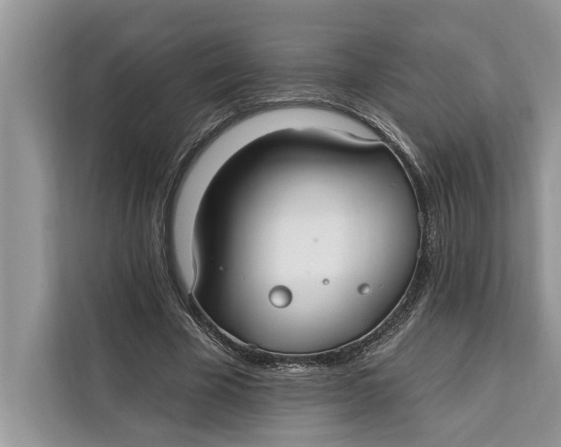 X0000112200585200908281441