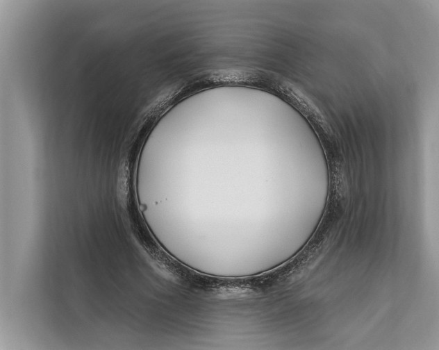 X0000112200586200908281441