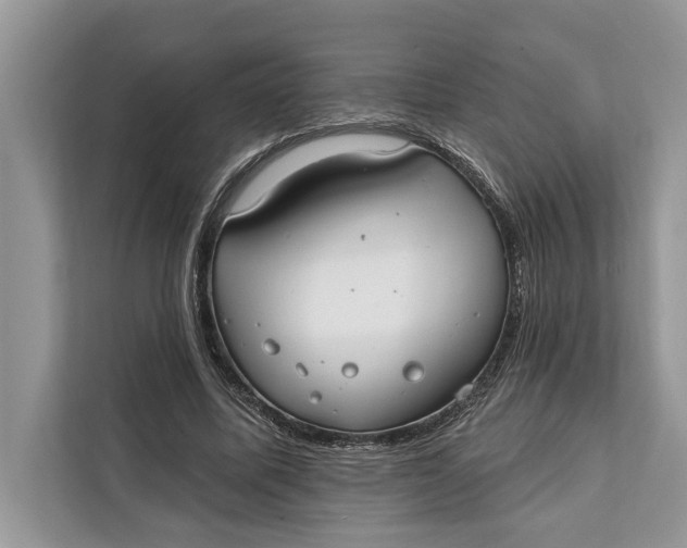 X0000112200587200908281441