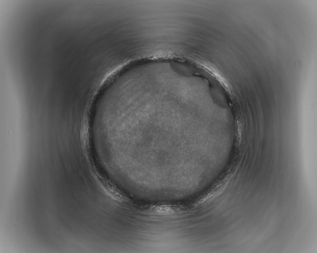 X0000112200588200908281441