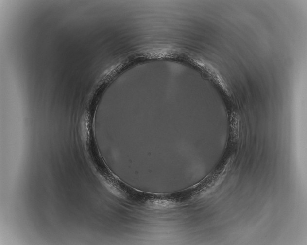 X0000112200590200908281441