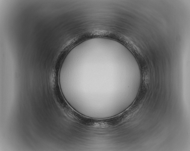 X0000112200591200908281441