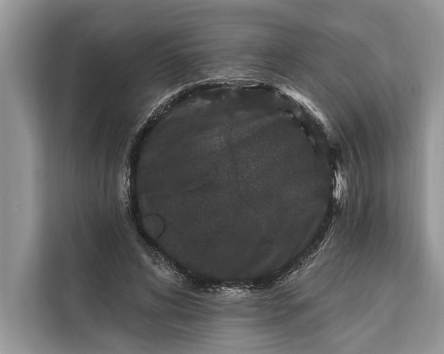 X0000112200592200908281441