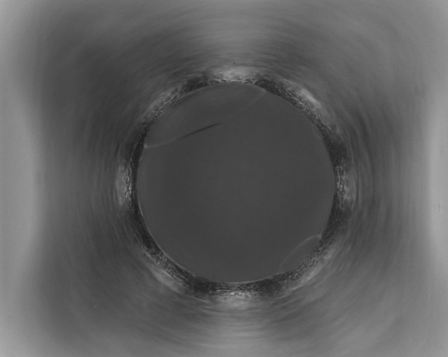 X0000112200593200908281441