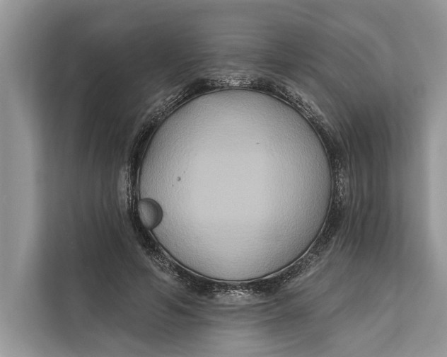 X0000112200594200908281441