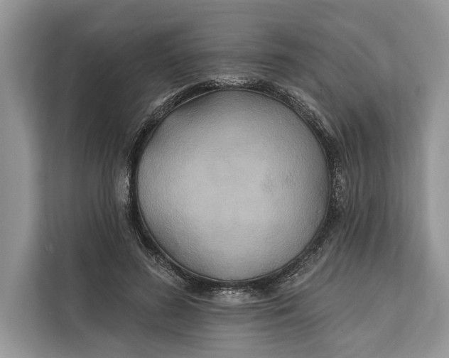 X0000112200596200908281441