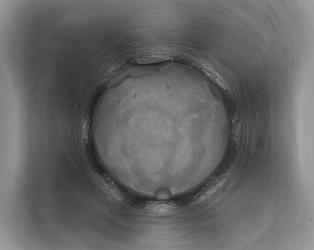 X0000112200597200908281441