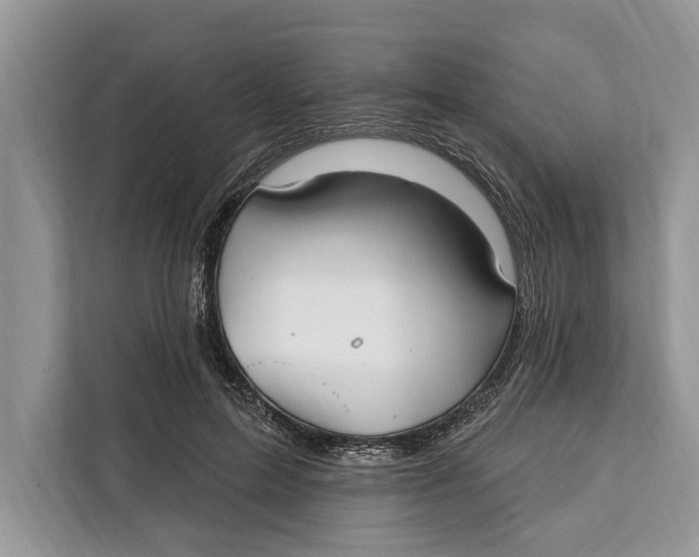 X0000112200599200908281441