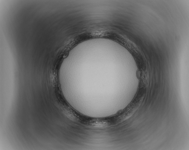 X0000112200601200908281441