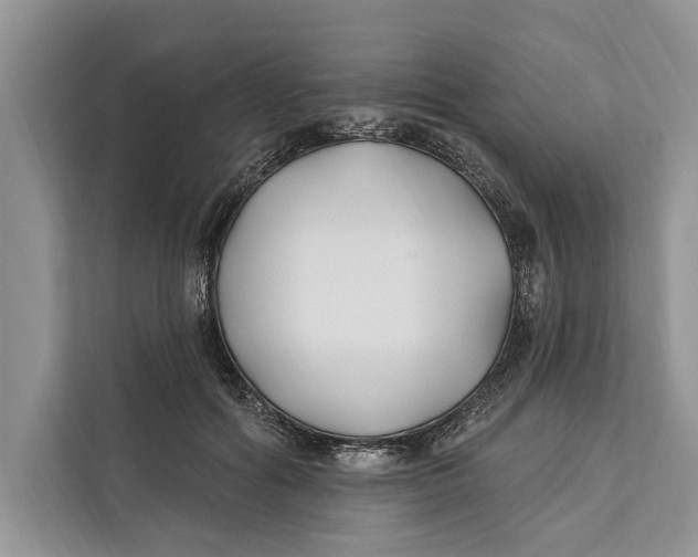 X0000112200602200908281441