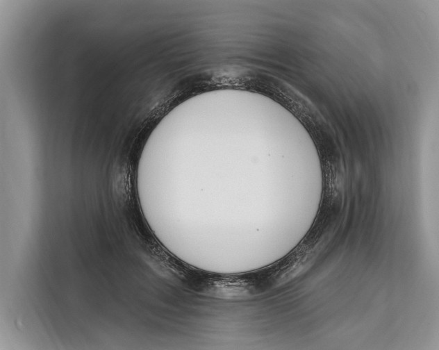 X0000112200603200908281441