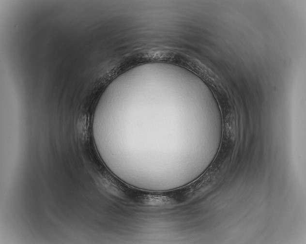 X0000112200605200908281441