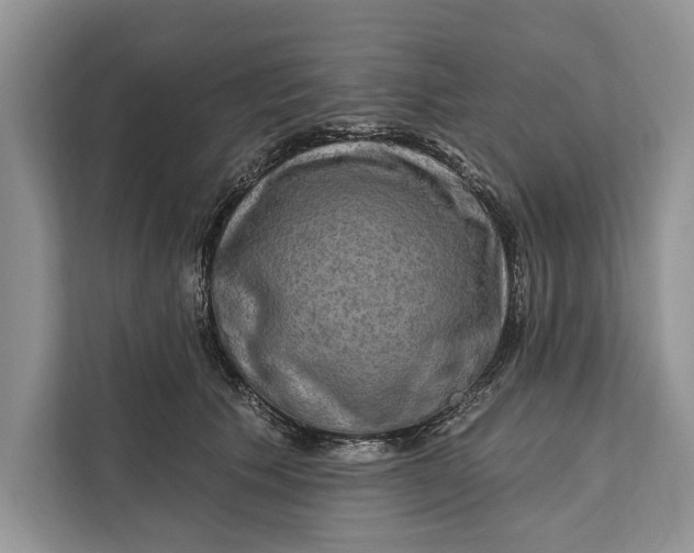 X0000112200609200908281441