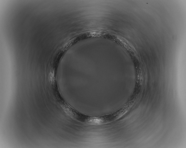 X0000112200610200908281441