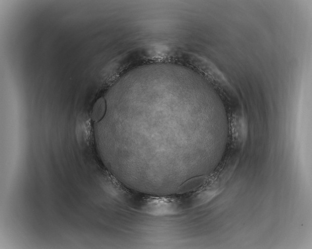 X0000112200611200908281441