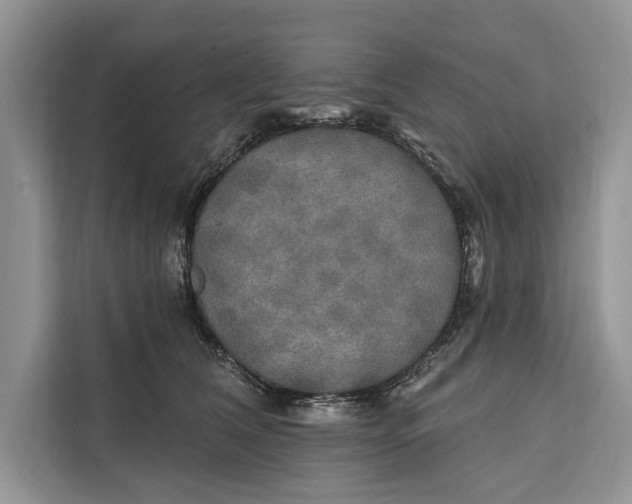 X0000112200612200908281441