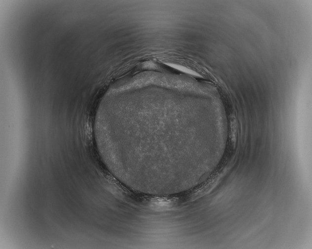 X0000112200613200908281441