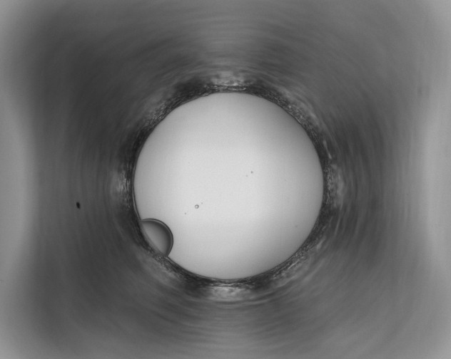 X0000112200614200908281441