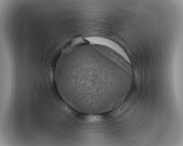 X0000112200617200908281440