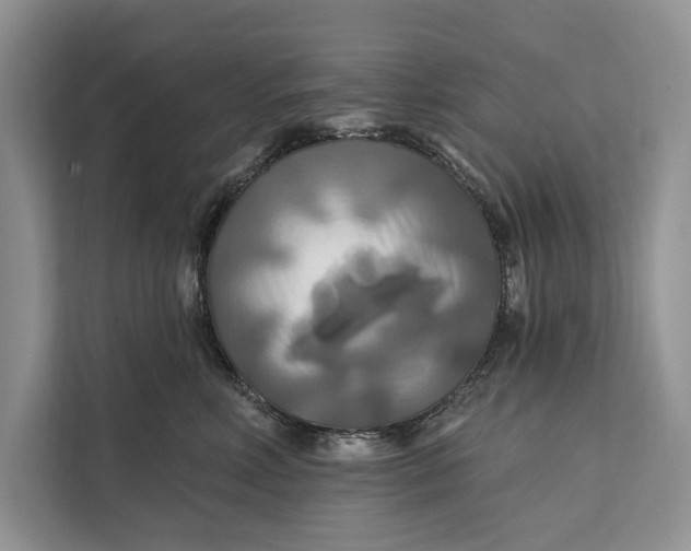 X0000112200618200908281440