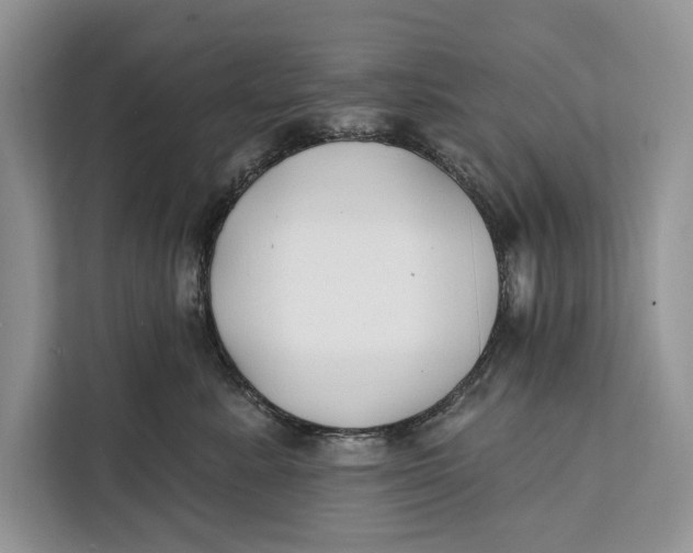 X0000112200619200908281440