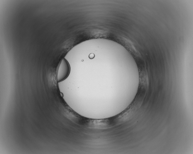 X0000112200622200908281440