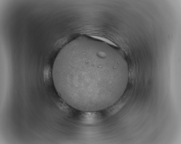 X0000112200623200908281440