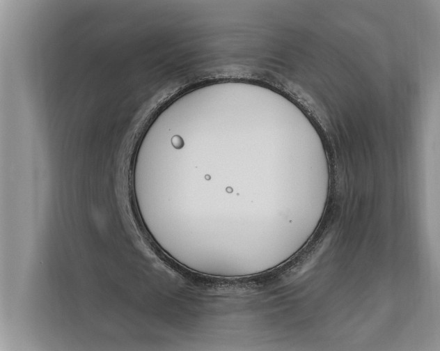 X0000112200625200908281440