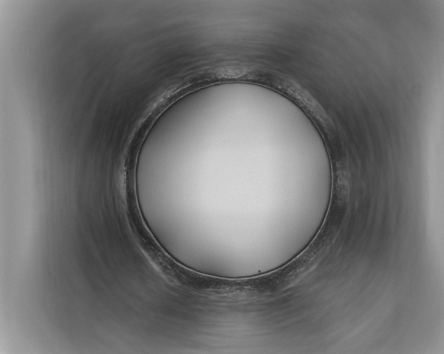 X0000112200626200908281440