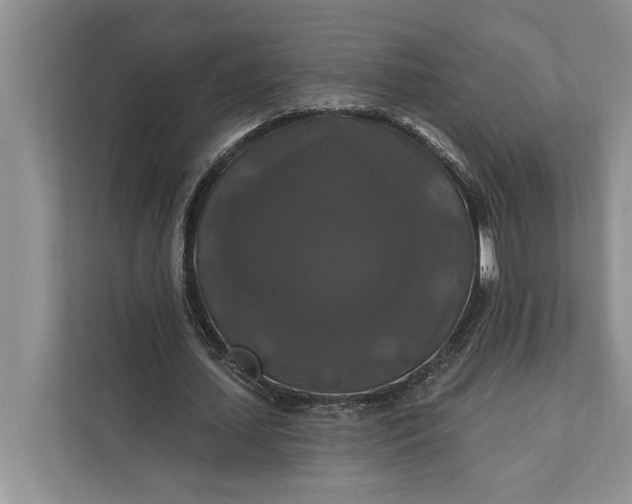 X0000112200627200908281440